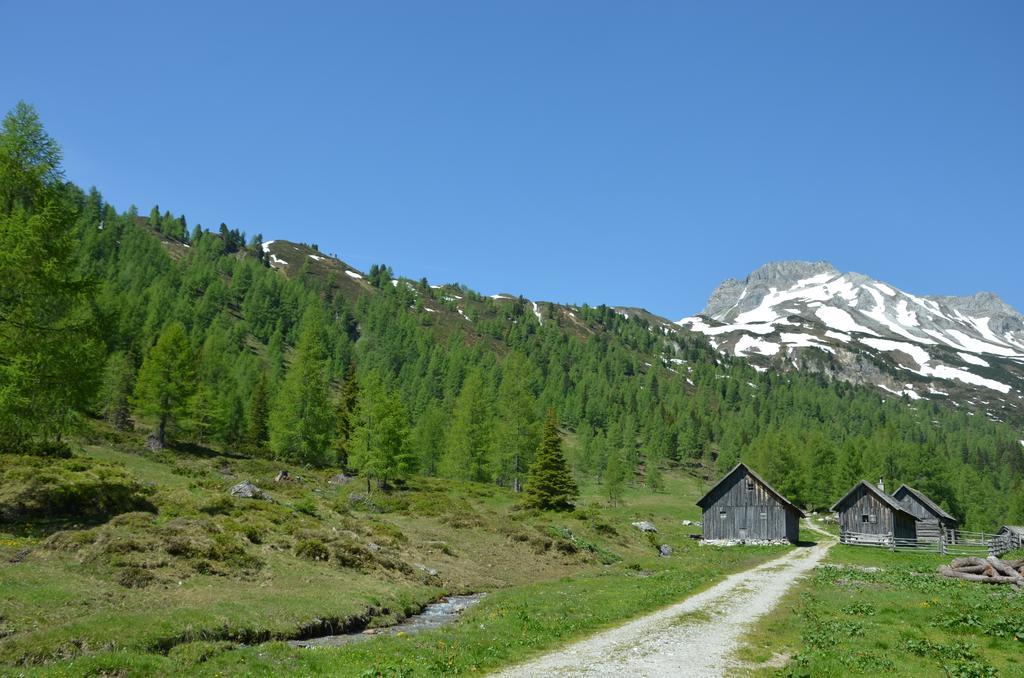 Apartmán Urlaub Am Kraeutlhof In Mariapfarr Pokoj fotografie